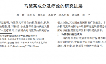 马黛茶成分及疗效的研究进展——山东中医药大学院康复学院论文